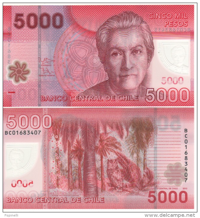 CHILE  New  5'000  Pesos ,   Polimer Issue     P163d     2013   UNC - Cile