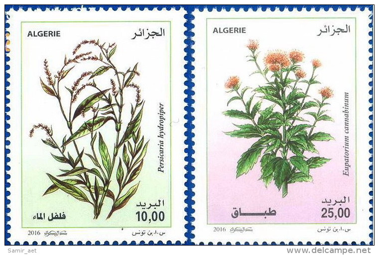 Algérie 2016 - 1735/1736 - Plantes Médicinales - Geneeskrachtige Planten