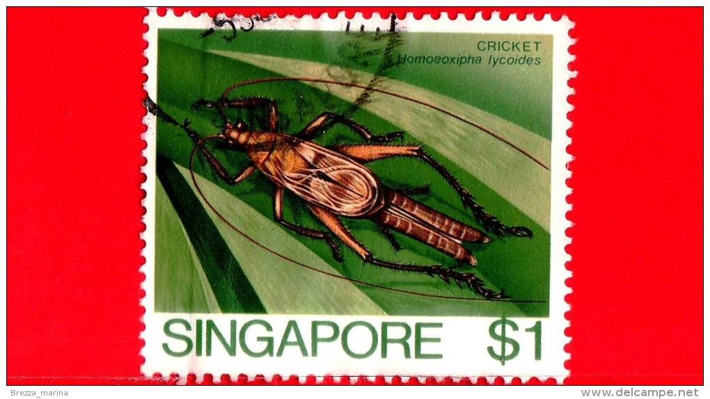 SINGAPORE - Usato - 1985 - Insetti - Insects - Cricket (Homoeoxipha Lycoides) - 1 - Singapore (1959-...)