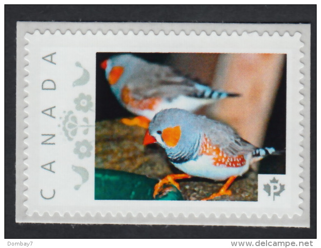 ZEBRA FINCH, BIRD KINGDOM Picture Postage MNH Stamp Canada 2015 [p15/12bk4/1] - Zangvogels