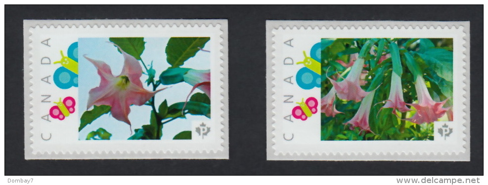 ANGEL TRUMPETS Flowers, Set Of 2 Picture Postage MNH Stamps Canada 2015 [p15/12fl2] - Other & Unclassified