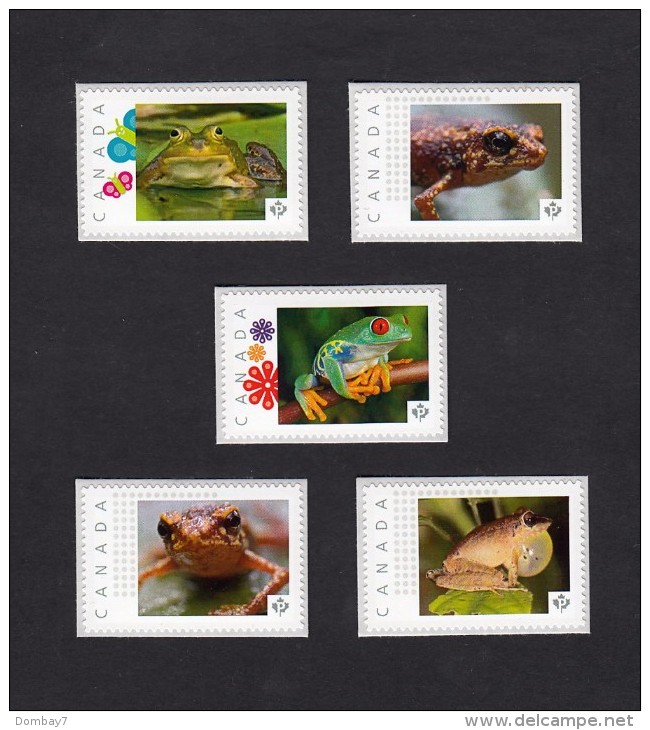 FROGS Set Of 5 Picture Postage MNH Stamps Canada 2016 [p16/01-2fr5] - Frogs