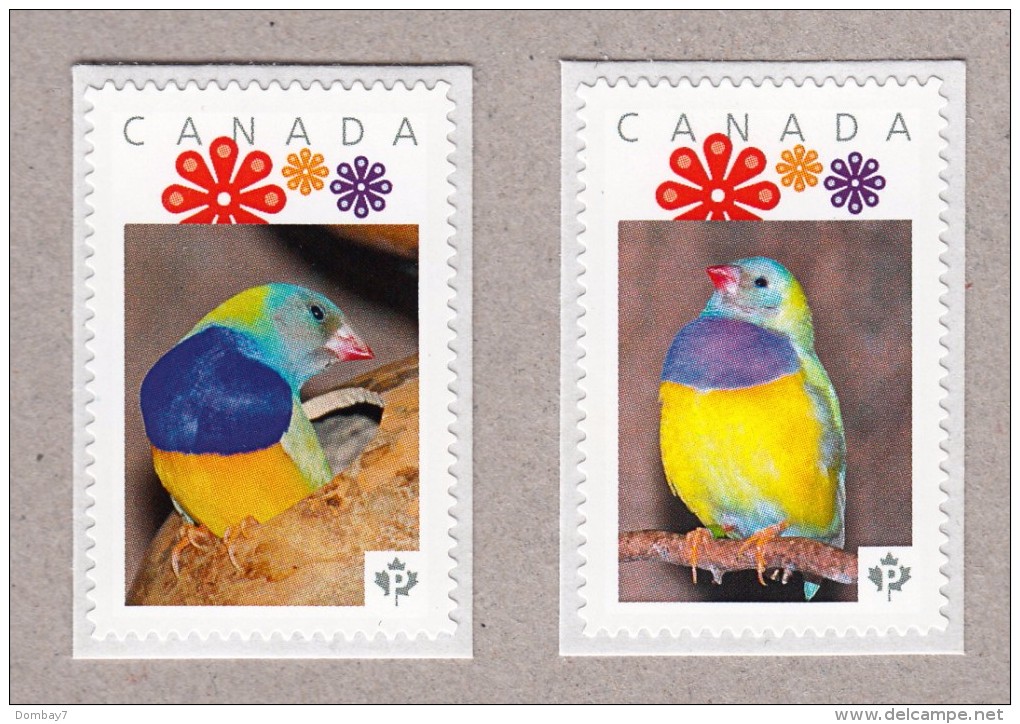 GOULDIAN FINCH Picture Postage MNH Se-tenant Pair Canada2016 [p16/02fi2se] - Songbirds & Tree Dwellers