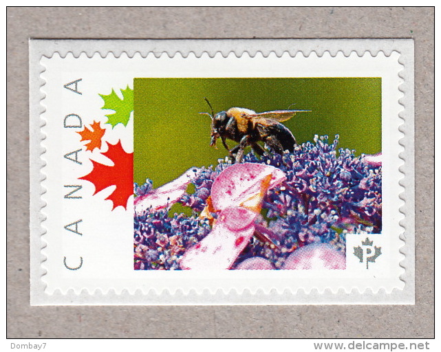 BEE ON HYDRANGEA FLOWER Picture Postage MNH Stamp Canada 2016 [p16/02sn14] - Honeybees