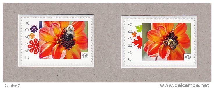 BEE ON DAHLIA FLOWER Picture Postage MNH Pair Canada 2016 [p16/02be2] - Api