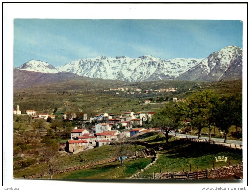 CP   CARGESE (20) Les Eglises Grecques Et Latines - Autres & Non Classés