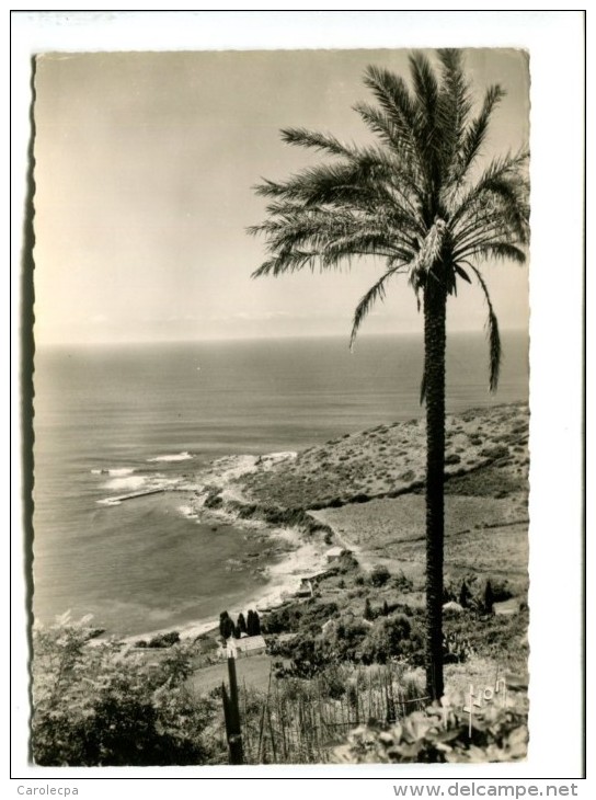 CP   CARGESE (20) VUE SUR LA PLAGE - Autres & Non Classés