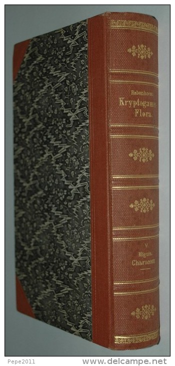 Botanik Die CHARACEEN ( Characées ) Von Deutschlands, Oesterreichs  Und Der Schweiz  Von Dr W Migula - Sonstige & Ohne Zuordnung