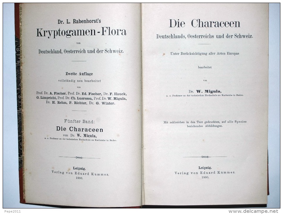 Botanik Die CHARACEEN ( Characées ) Von Deutschlands, Oesterreichs  Und Der Schweiz  Von Dr W Migula - Andere & Zonder Classificatie