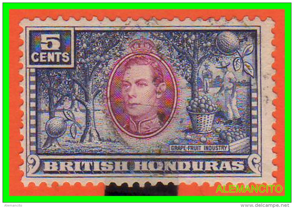 GRAN BRETAÑA BRITISH -HONDURAS  SELLO AÑO 1938 - Honduras Britannique (...-1970)