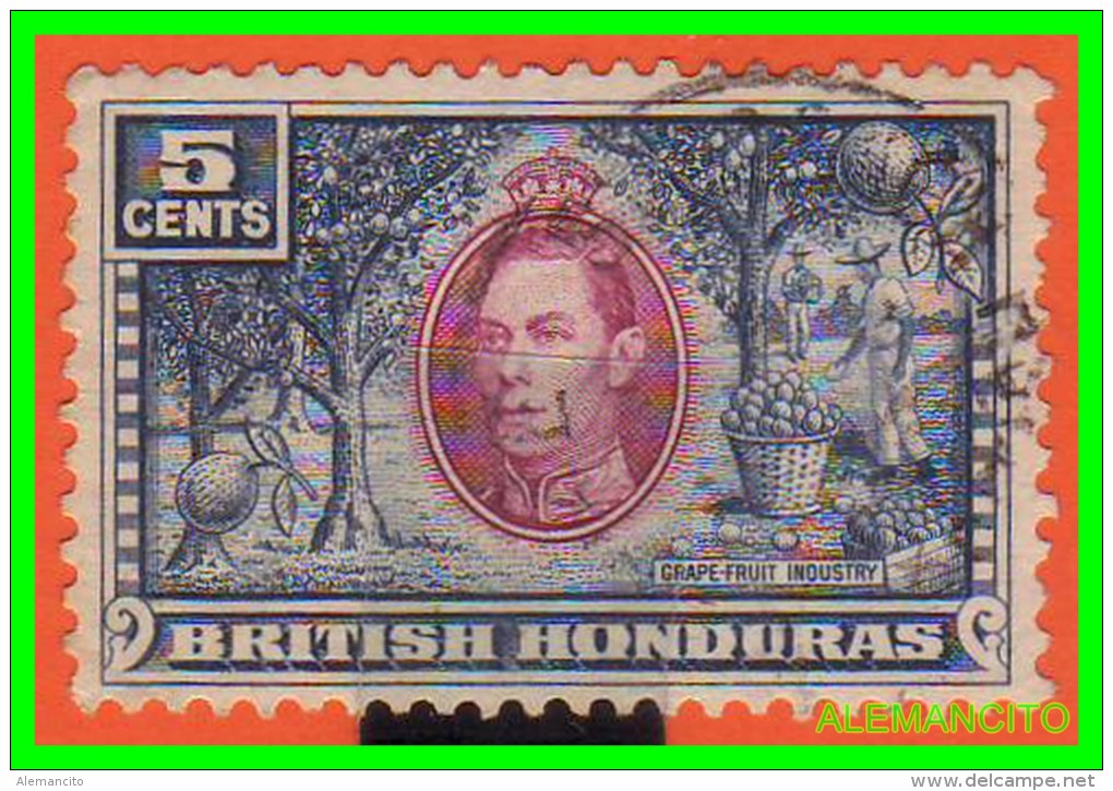 GRAN BRETAÑA BRITISH -HONDURAS  SELLO AÑO 1938 - British Honduras (...-1970)