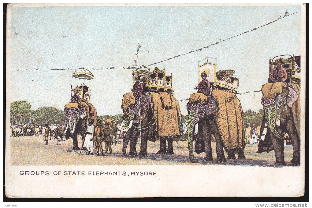 CPA - (Inde) Groups Of State Elephants, Mysore - Indien