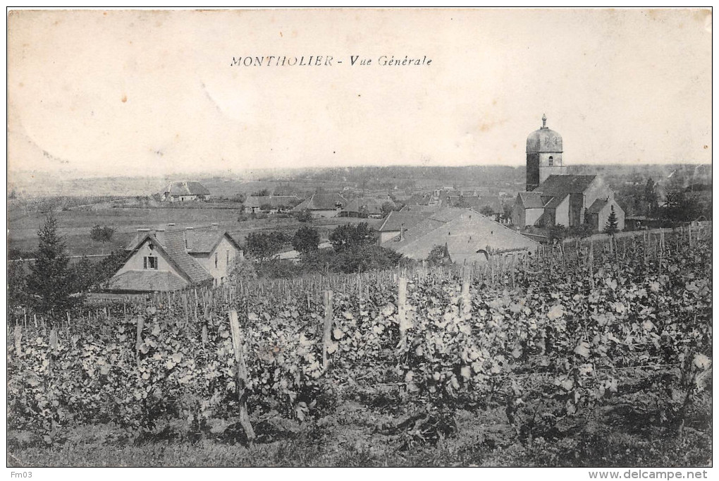 Montholier Vignes Canton Poligny - Autres & Non Classés