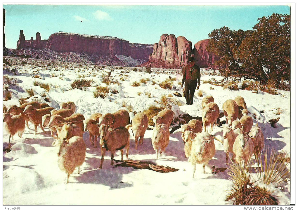 Monument Valley (Utah, USA) An Early Snow Covers Monument Valley With A Blanket Of White - Monument Valley