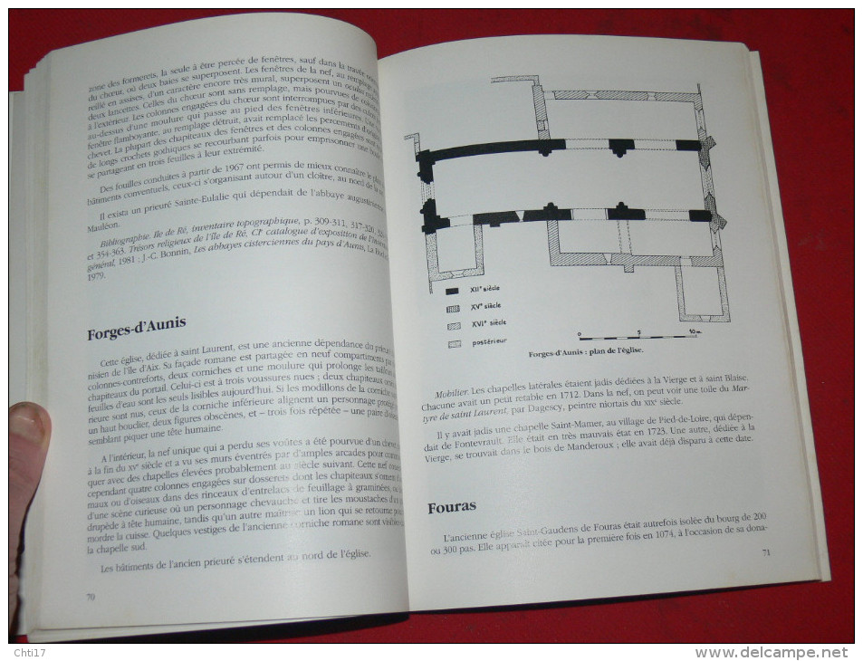 LES EGLISES D AUNIS / 90 COMMUNES / 120 MONOGRAPHIES / AIGREFEUILLE / PERIGNY / MARANS / L HOUMEAU / LA JARNE / LOIX /