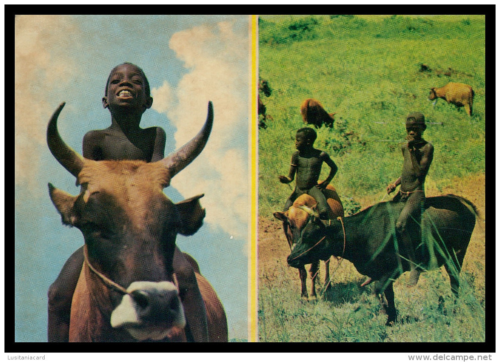GUINÉ- BISSAU - COSTUMES - ( Ed. FOTO IRIS Nº 17)carte Postale - Guinea-Bissau
