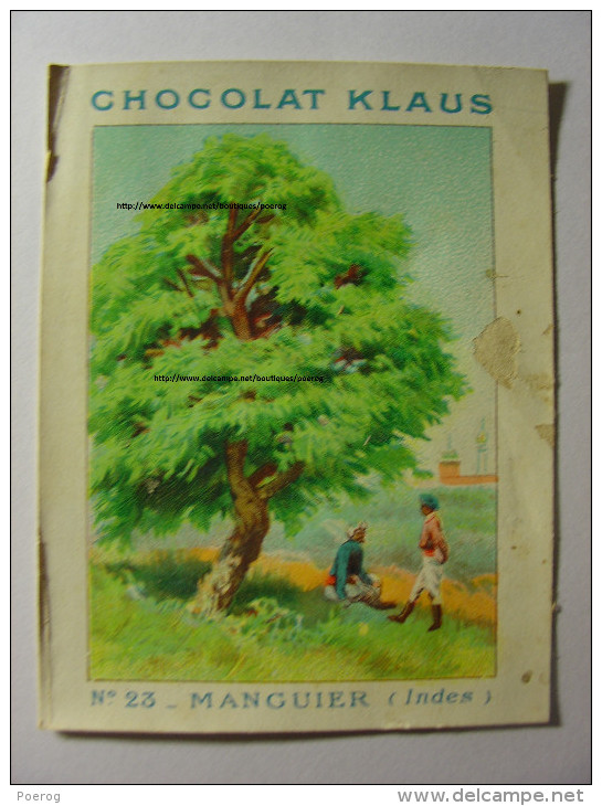 IMAGE CHROMO CHOCOLAT KLAUS - N°23 - MANGUIER (INDES) - 7cm X 9cm - MANGUE MANGO TREE ARBRE - Sonstige & Ohne Zuordnung