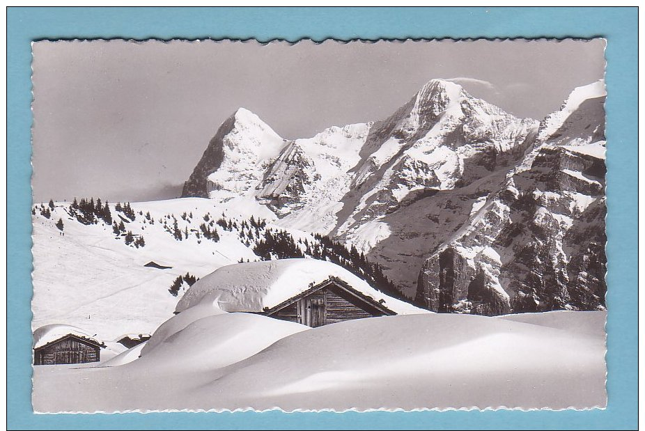 WINTERLANDSCHAFT Bei MÜRREN, CHALET Unter Schnee // Gelaufen - Mürren