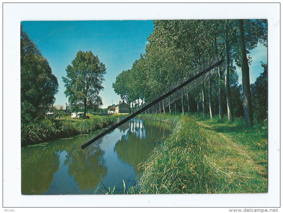 CPM - La Guerche Sur L'Aubois - Les Bords Du Canal Du Berry - La Guerche Sur L'Aubois
