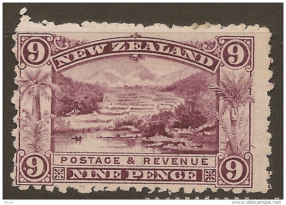 NZ 1898 9d Terraces Inverted Wmk SG 314w HM #VY5 - Unused Stamps