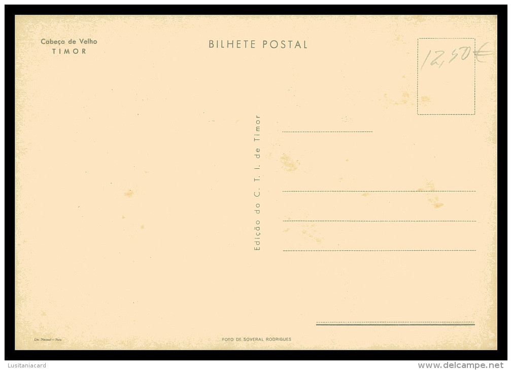 ASIA - TIMOR - Cabeça De Velho  ( Ed. C. T. I. De Timor) Carte Postale - Timor Oriental