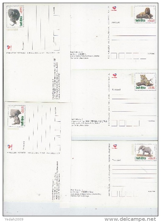 South Africa China THE CHINESE MINING COMMUNITY IN SOUTH AFRICA ANIMALS SET 5 POSTCARDS 1998 - Ohne Zuordnung