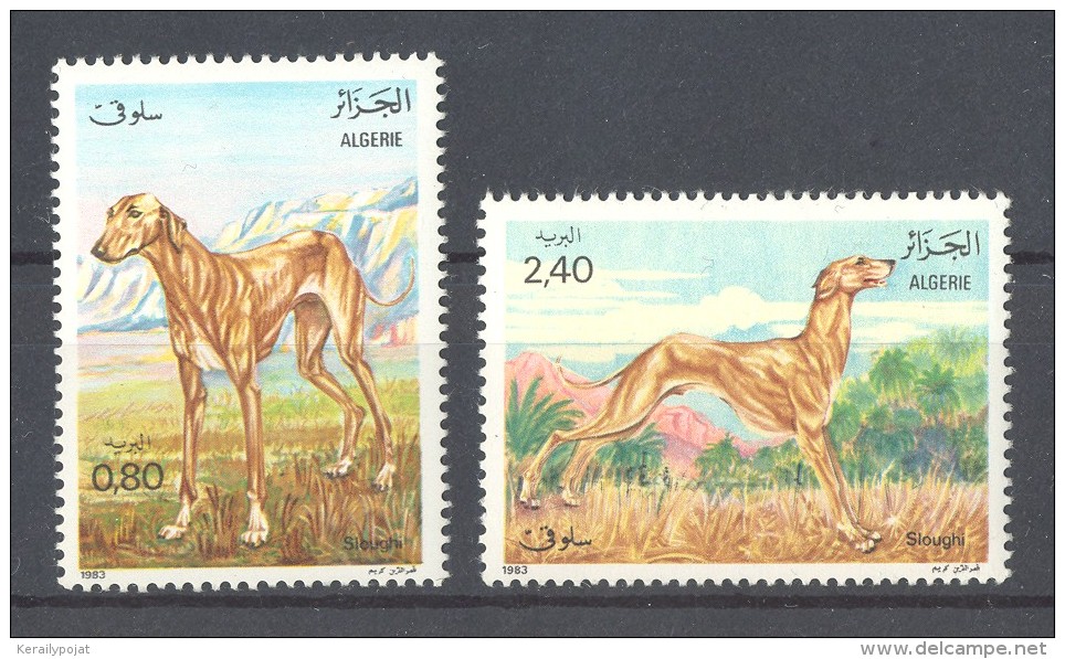 Algeria - 1983 Arabian Greyhound MNH__(TH-11742) - Algérie (1962-...)