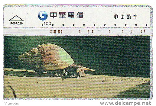 Snail Escargot Télécarte Phonecard  B 290 - Taiwan (Formose)