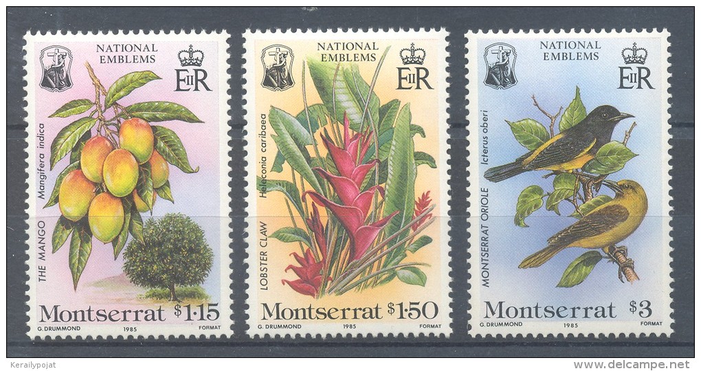 Montserrat - 1985 National Symbols MNH__(TH-1802) - Montserrat