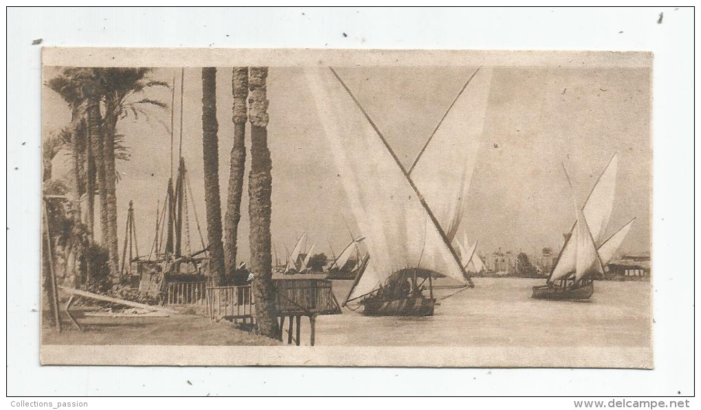 Mini Cp , Egypte , LE CAIRE , CAIRO , Palm Trees And Bord On The Nile , écrite 1919 , Ed : The Cairo Postcard Trust - Kairo