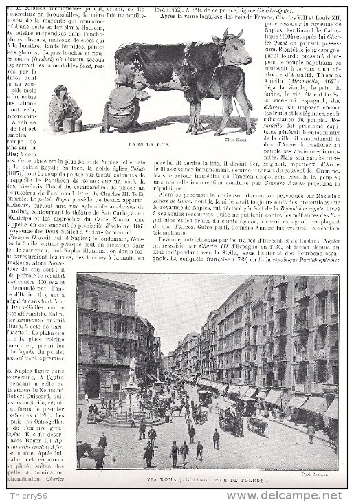 Naples Napoli - Via Roma - Traite De Vache Veau Page Recto Verso Extraite Livre Italie Illustrée - Altri & Non Classificati