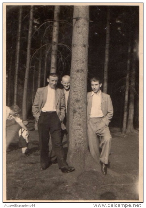 Photo Originale Homme -  3 Hommes Et Un Arbre - Portrait En Forêt - - Personnes Anonymes