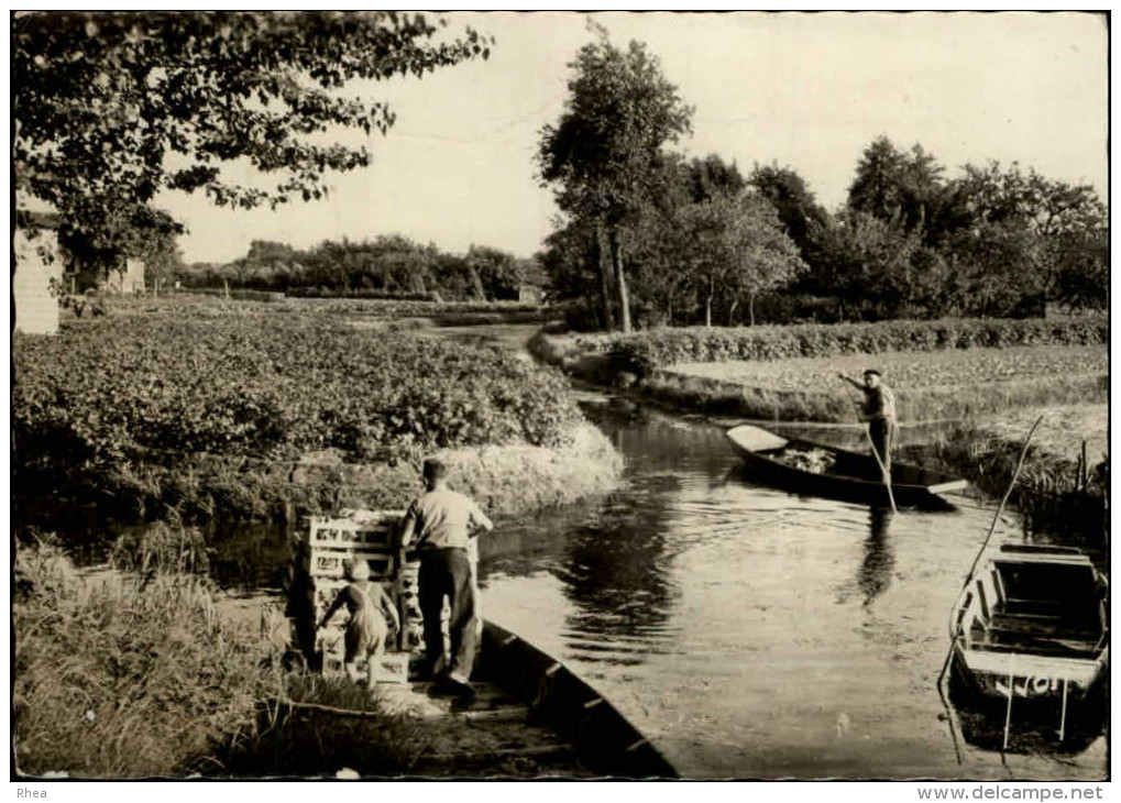 80 - AMIENS - Hortillonnages - Amiens