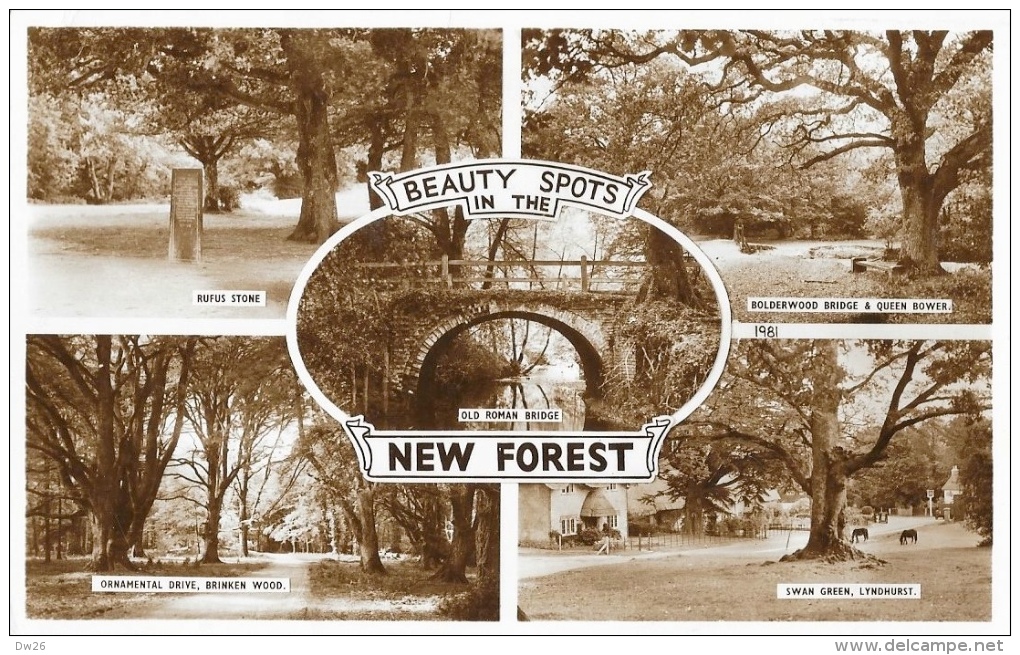 Beauty Spots In The New Forest - Multivues - Autres & Non Classés