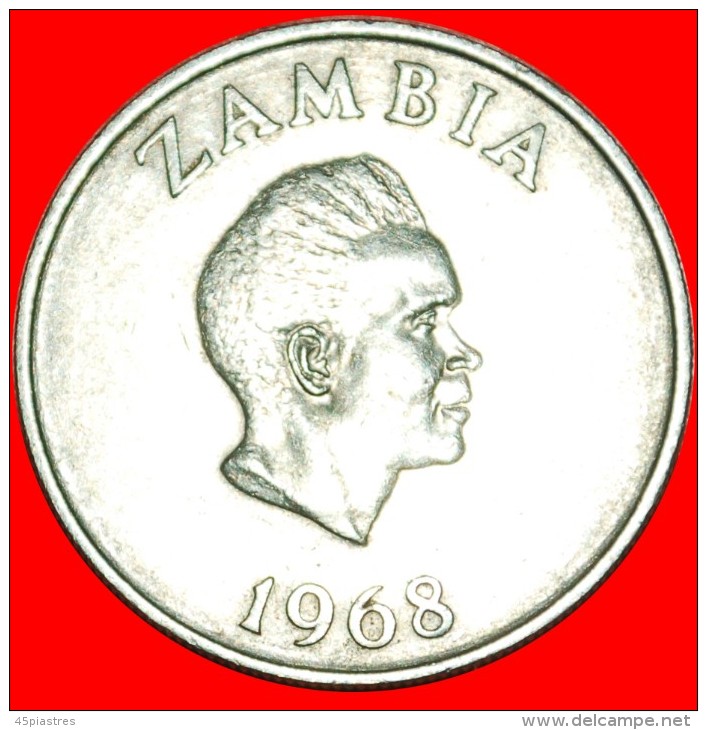 &#9733;GREAT BRITAIN: ZAMBIA &#9733; 10 NGWEE 1968! LOW START &#9733; NO RESERVE!!! - Sambia