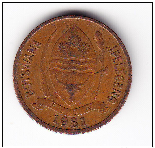 1981 Botswana 5 Thebe Coin - Botswana