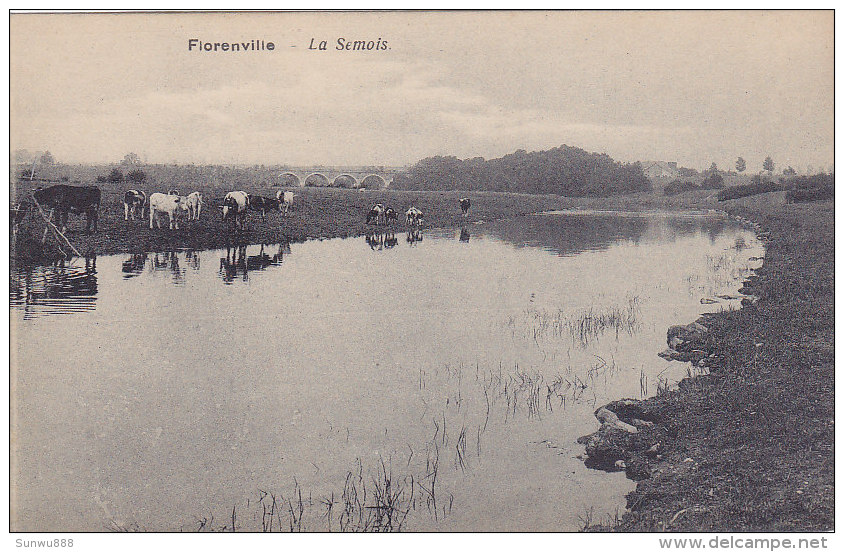 Florenville - La Semois (panorama, Vaches, PhoB) - Florenville