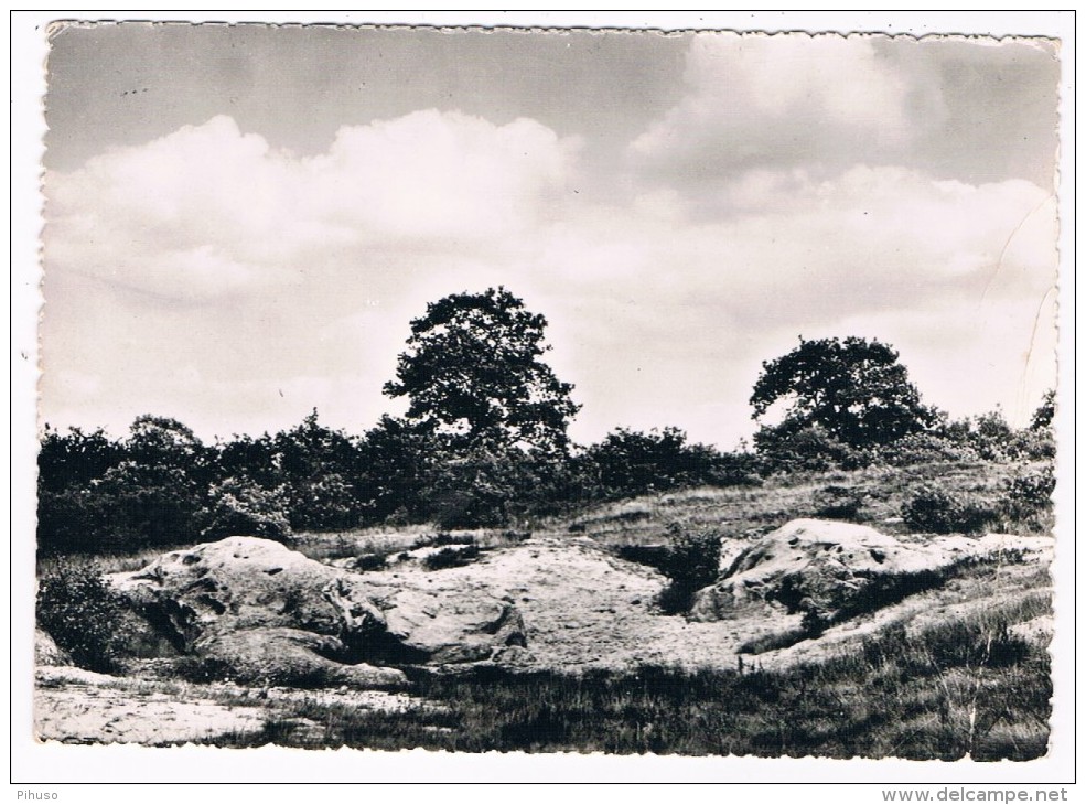 B5814     ZONHOVEN : Holsteen - Zonhoven