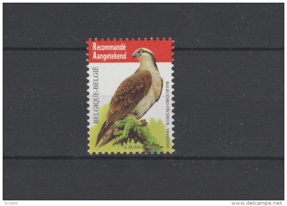 2011 Belgium Bird Osprey Buzin MNH - Unused Stamps