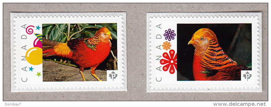 GOLDEN PHEASANT Picture Postage Pair Of MNH Stamps Canada 2016 [p16/02ph2] - Gallinaceans & Pheasants