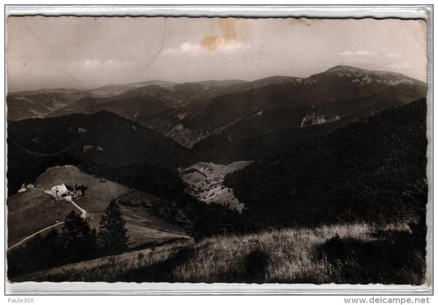 Münstertal/Schwarzwald - Almgaststätte Und Jungviehweide - Kälbelescheuer - Münstertal