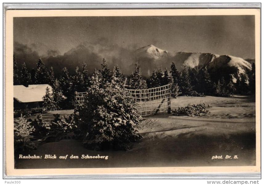 Rax - Raxbahn - Blick Auf Den Schneeberg - Raxgebiet