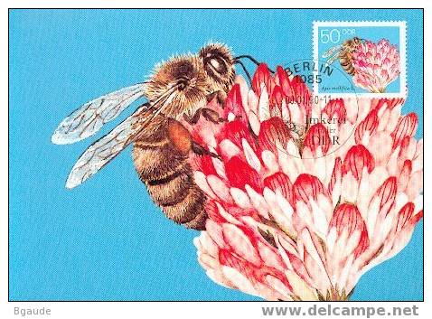 ALLEMAGNE DDR CARTE MAXIMUM NUM.YVERT 2903 INSECTE ABEILLE - Cartas Máxima