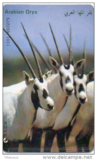 Antilope Oryx Autruche Animal Télécarte Jordanie Phonecard Telefonkarten  B 306 - Jordan
