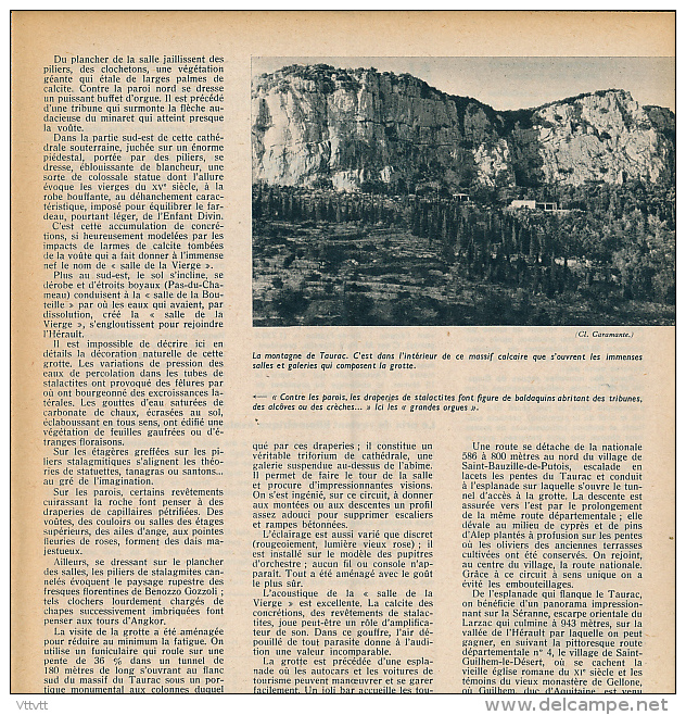 1962 : Document, LA GROTTE DES DEMOISELLES (2 Pages Illustrées) Saint-Bauzille-le-Putois, Montagne De Taurac - Non Classés