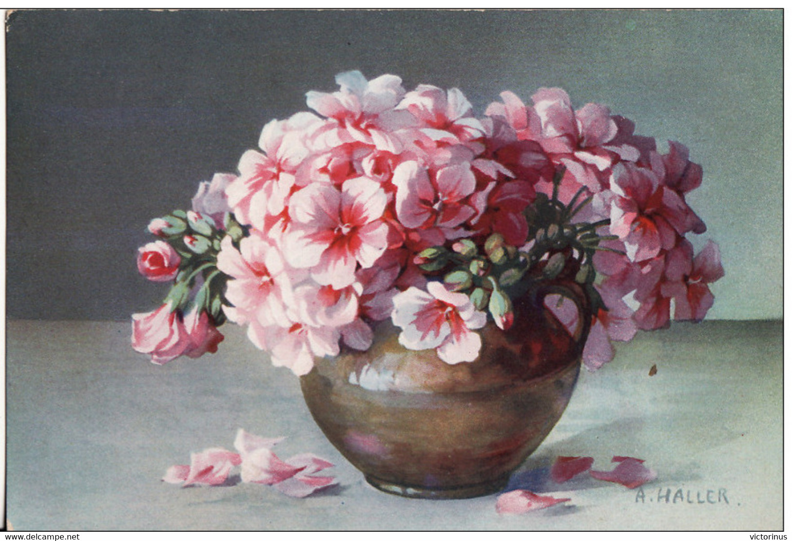 BELLES FLEURS EN POT - Illustrateur A. HALLER -  Juin 1917 - Haller, A.