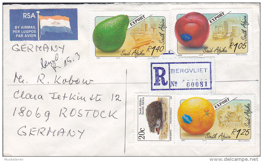 South Africa AIR MAIL "Flag" & Registered Einschreiben Labels BERGVLIET 1994? Cover Brief Avocado Orange Tomato Hedgehog - Luchtpost