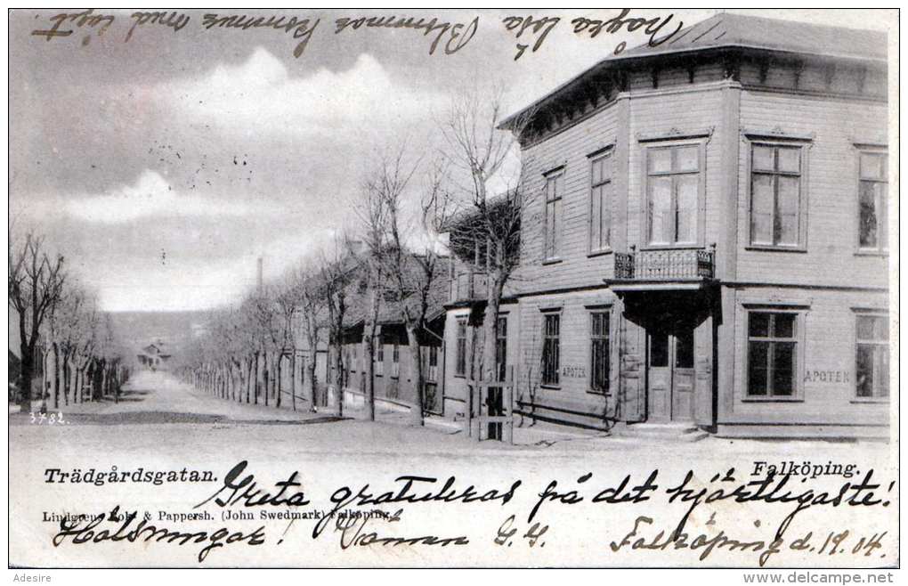 FALKÖPING (Schweden) - TRÄDGÄRDSGATAN, Gel.1904 - Schweden