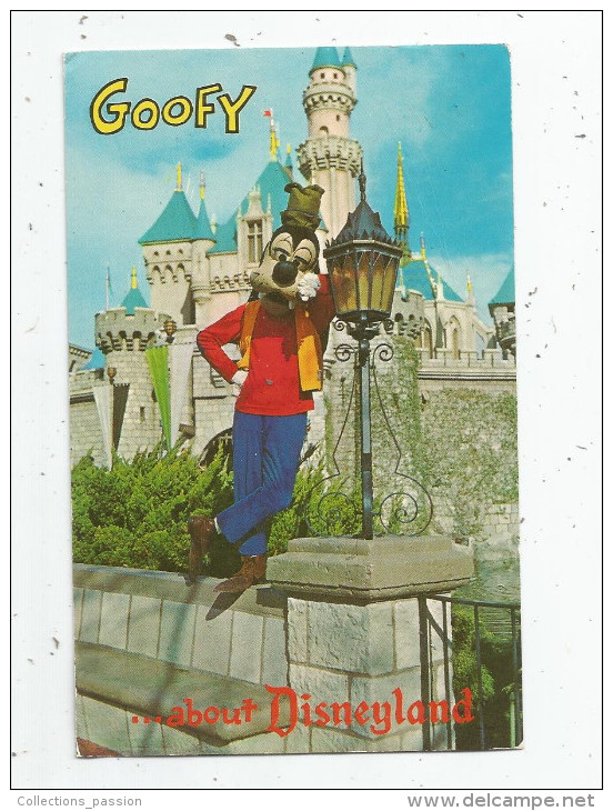 Cp , DISNEY , GOOFY .... About DISNEYLAND , Voyagée 1975 , Ed : Disneyland , Anaheim , California - Disneyland