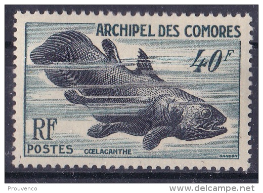 COMORES 1954 YT 13   COELACANTHE   BELLE COTE - Unused Stamps